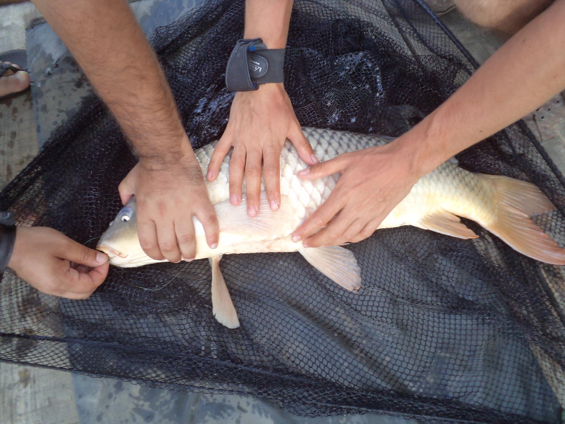 Magura 9 07.07.2013 - dsc01511.JPG